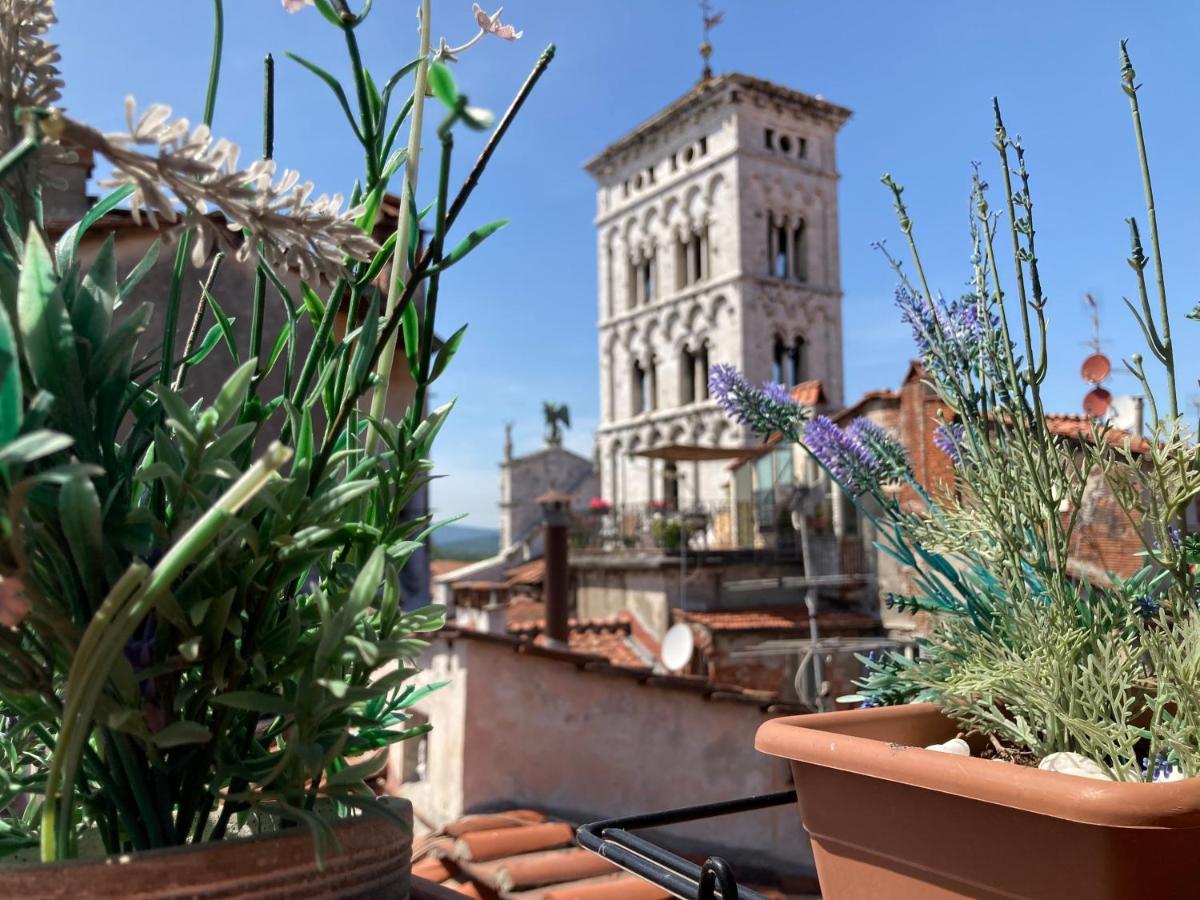 ルッカTerrazza San Michele - Affitti Brevi Italiaアパートメント エクステリア 写真